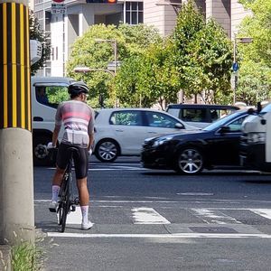 Meet your Posher, Albert